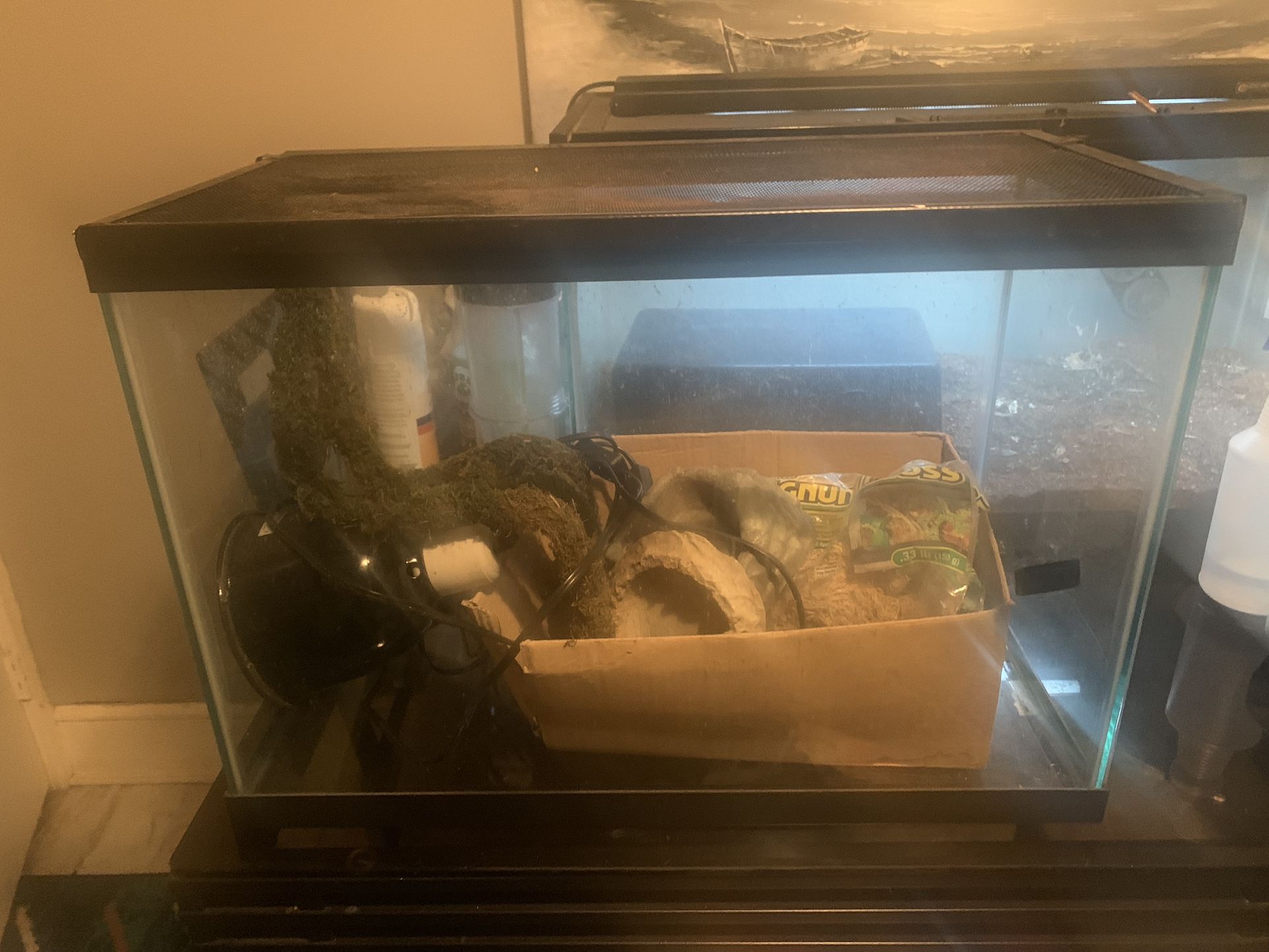 Reptile Tank With Supplies