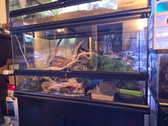 EMPTY Front opening reptile tank