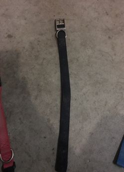 Dog collar