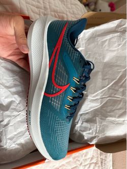 Nike Air Zoom Pegasus 39