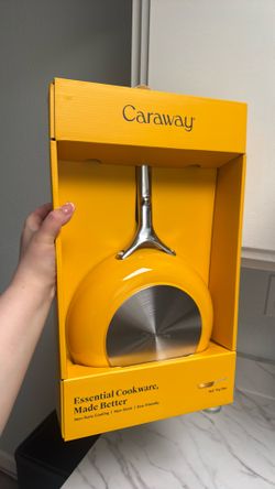 NEW IN BOX Caraway Fry Pan