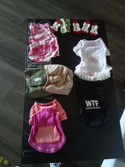 Dog clothes