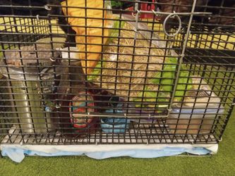 Pet Gage Small Critters. Full Of Extras!!