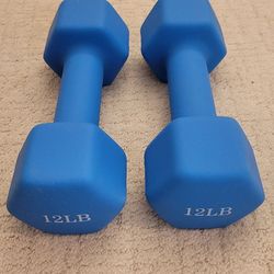 12LB Dumbbell