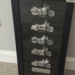 This is a 2008 Harley-Davidson Motorcycles of the 1990s shadow box display. 