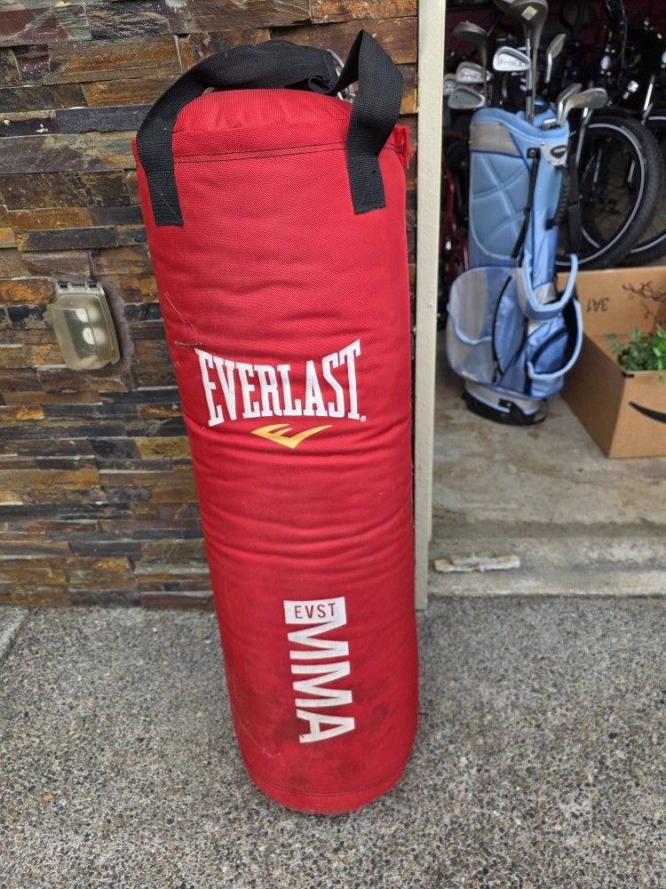 WOORKOUT BAG, Everlast 70 lb