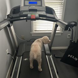Treadmill (dog Excluded)