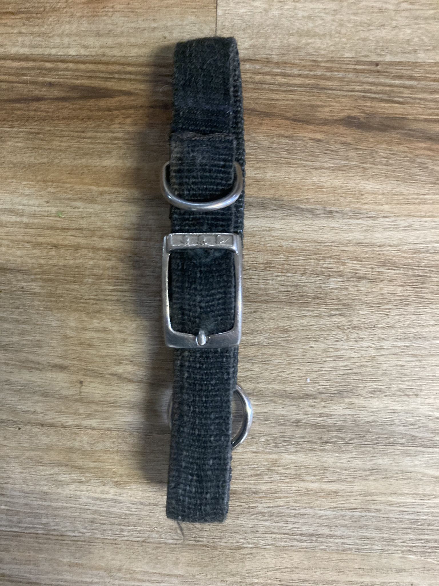 Pet Collar