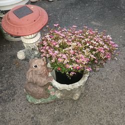 Adorable Bunny Planter & Live Plant 
