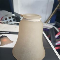 Fan Globes