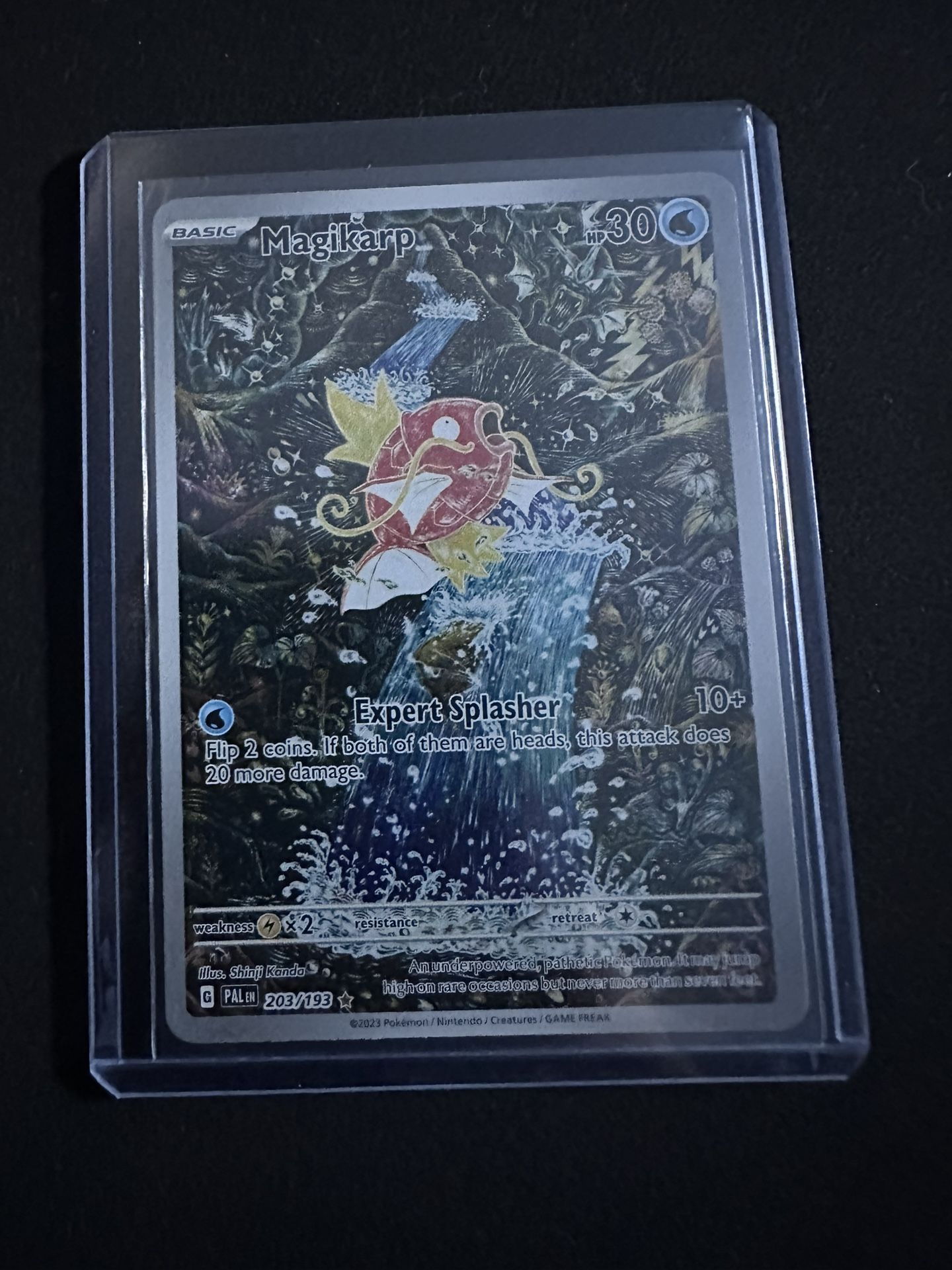 magikarp ir