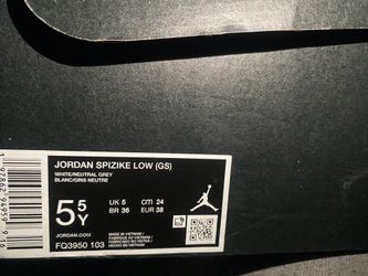 Jordan Spizike Lows(READ DESCRIPTION )