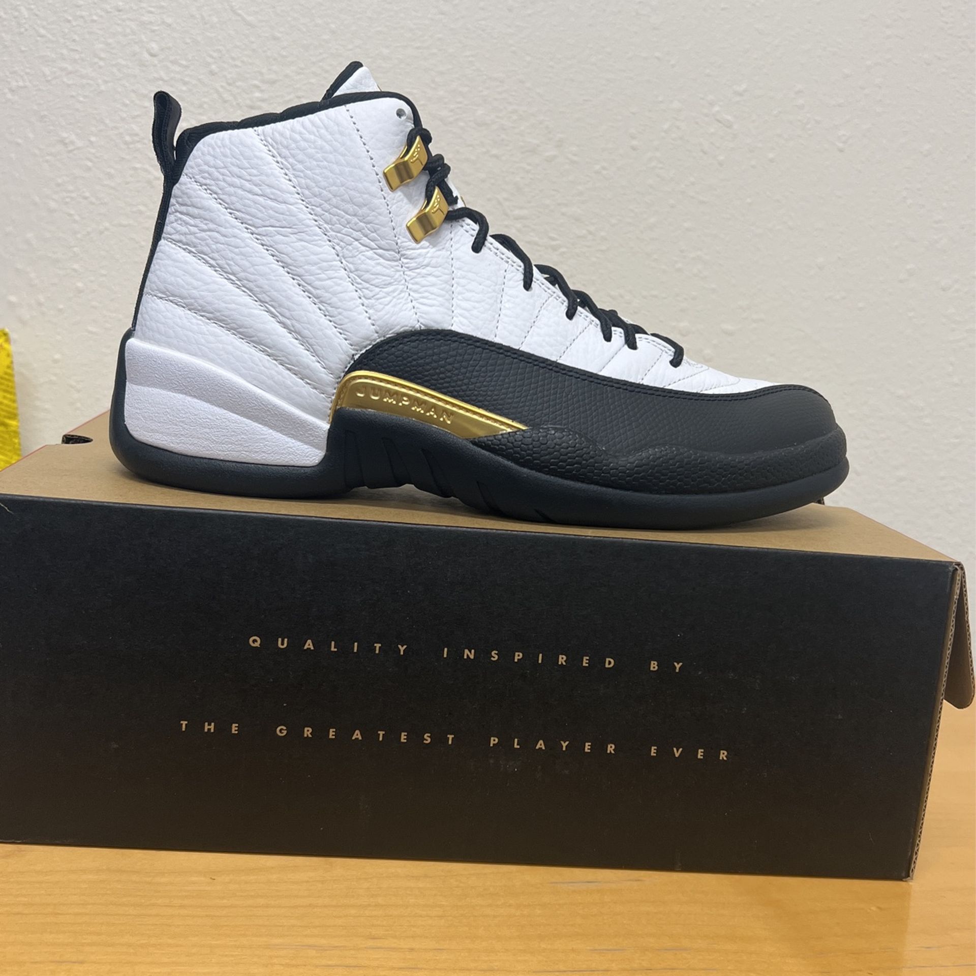 AJ 12 Retro Size 10 