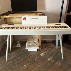 Brand New Professional Piano (Never Used)