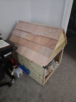 Dog House - Custom Built, Starter