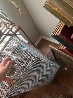 Small animal trap