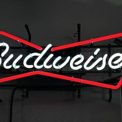 Mancave Neon Light  