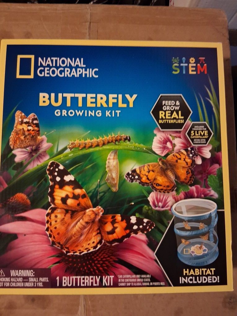 Grow Real Butterfly's $10 Each I Have 4 Of Each