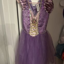 Disney Princess Costumes