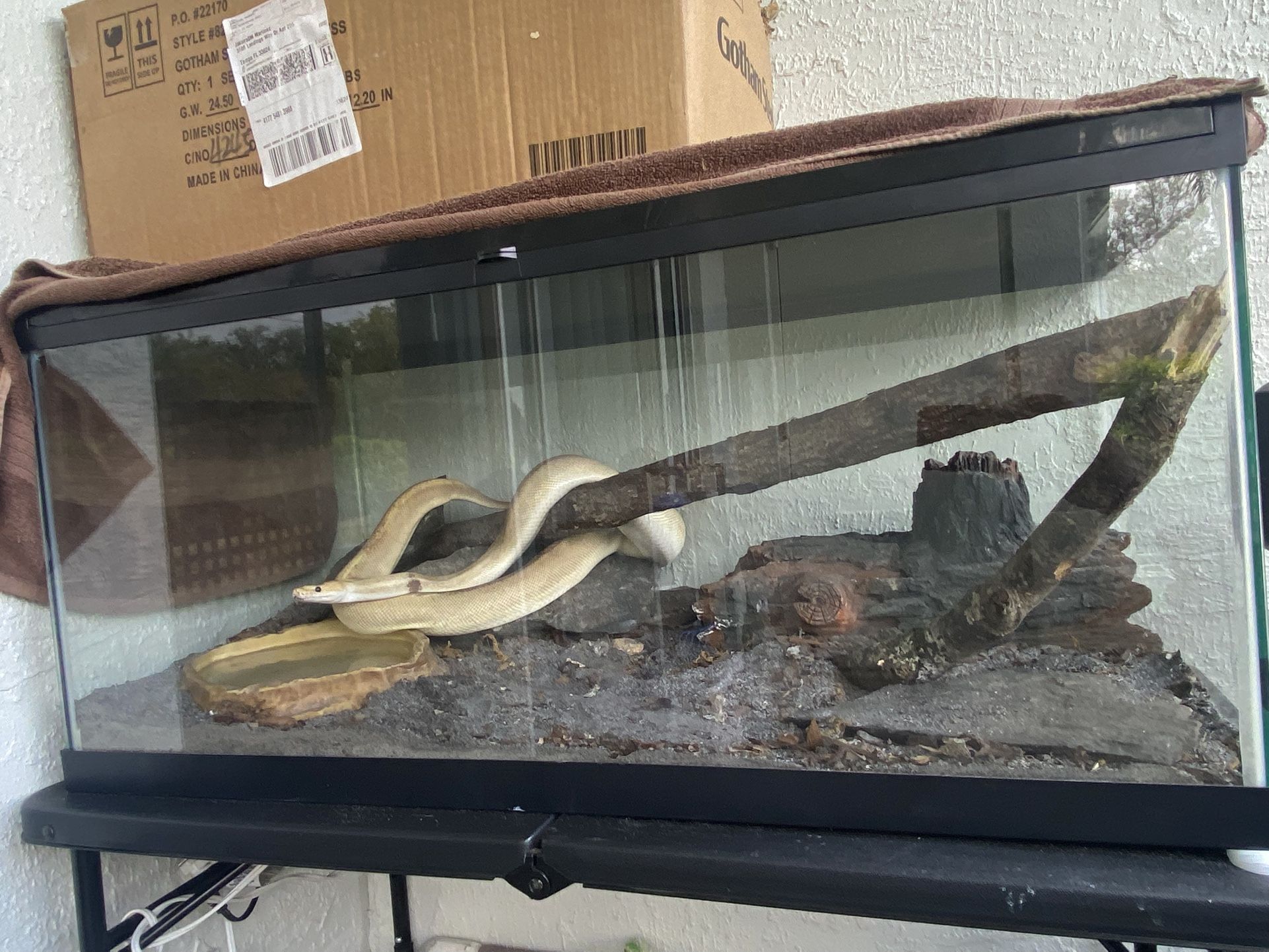 Reptile Enclosure