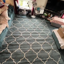 Carpet  - 7ft. 10 in. x 9 ft. 10in. 