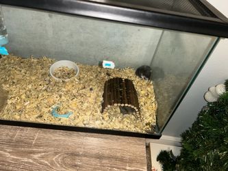 aquariums for sale with metal screen lids