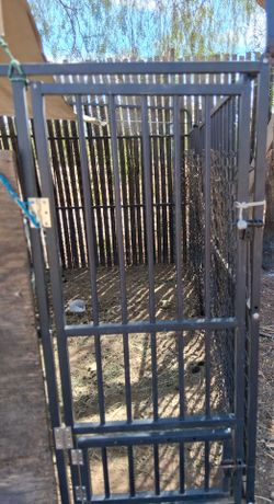 10x10 dog kennel