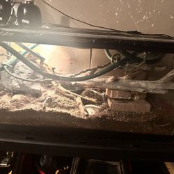 60 Gallon Fish/snake Tank Plus More!!