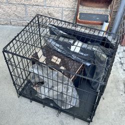 Dog Kennel