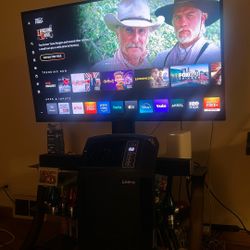 55" Vizio & Stand 