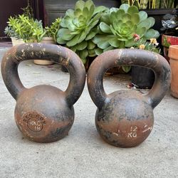 12 kg ( 26.4 lbs.) Cast-Iron Kettlebell, produced by RKC (Russian Kettlebell Challenge).
