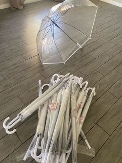 Clear umbrellas