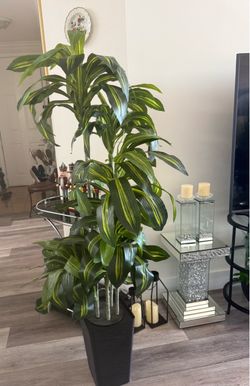 Pretty artificial plant 5 ft tall with planter ! Brand New