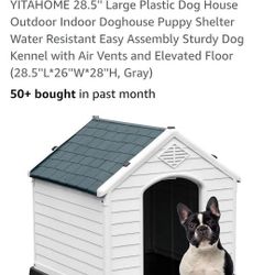 Dog House