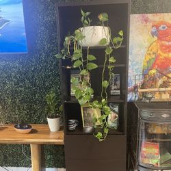 Office Shelves With Two Drawers 