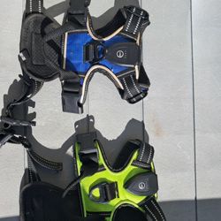 Dog Light Up Harnenss