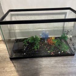 20 Gallon Fish Tank 