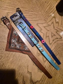 Small Dog Collars
