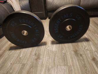 45 pound plates
