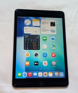 NICE APPLE iPad MINI 5 256GB  LOW PRICE iOS26