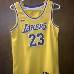 	 Nike Men's LeBron James Los Angeles Lakers Icon Swingman Jersey