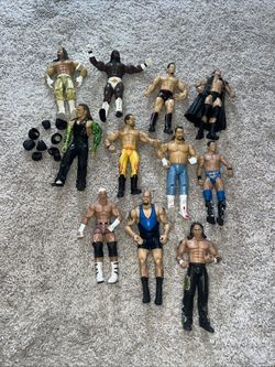 11 Wrestling Figures 2003 And 2010 All 11 For $40