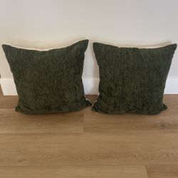 Set of Two Olive Green and Beige Pillows