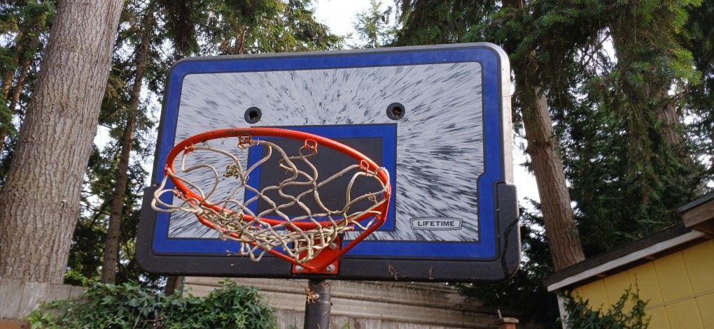 10ft Adjustable Basketball Hoop