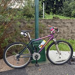 90’s Specialized Stumpjumper