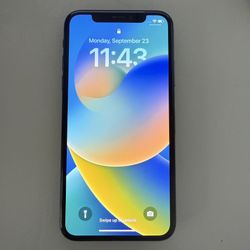 iPhone X (256 GB)