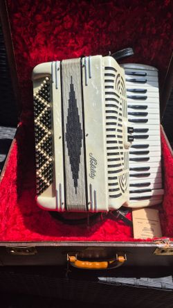 vintage accordion with case
