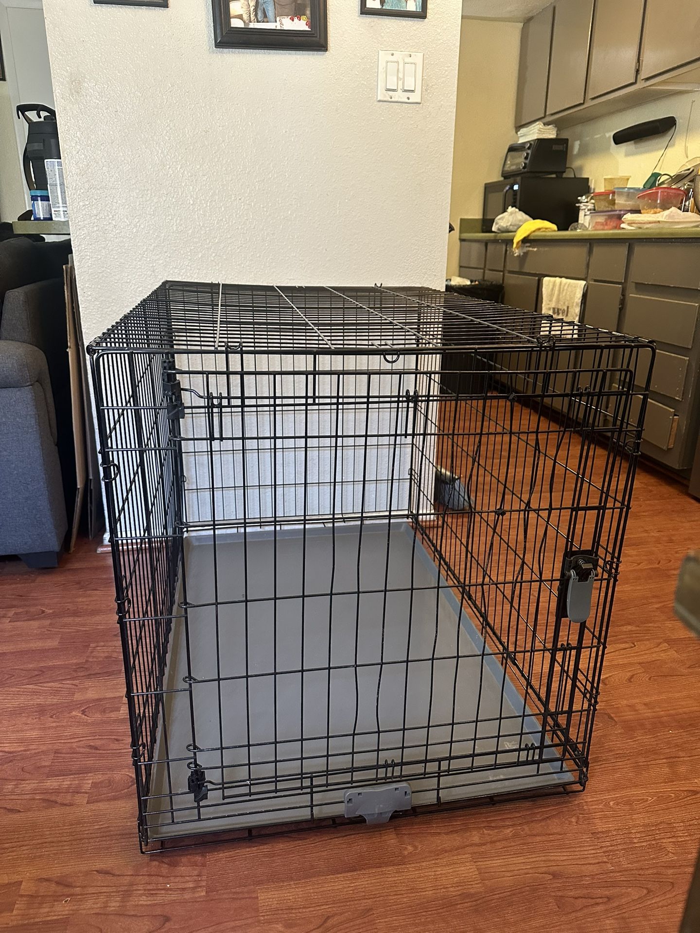 Dog Kennel 