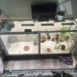 Large Display Case 