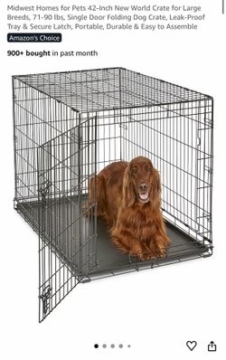 Large dog kennel